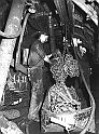 souvenirs en noir et blanc (470)